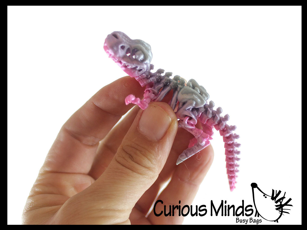 NEW - 3D Printed Dino Fossil Skeleton Wiggle Articulated Jointed Moving Fidget Toy - Unique Sensory