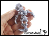 NEW - 3D Printed Skeleton Wiggle Articulated Jointed Moving Fidget Toy - Unique Sensory Halloween Spooky