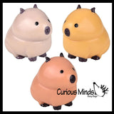 NEW - Capybara Splat Ball -  Water Filled Splat Stress Ball - Throw to Make it Splat and Watch it Come Back