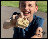 LAST CHANCE - LIMITED STOCK - Dinosaur Fossil Excavation Dig Eggs - Uncover Dino Fossil Figurine In Chalky Egg Activity