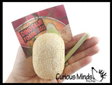 LAST CHANCE - LIMITED STOCK - Dinosaur Fossil Excavation Dig Eggs - Uncover Dino Fossil Figurine In Chalky Egg Activity
