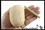 LAST CHANCE - LIMITED STOCK - Dinosaur Fossil Excavation Dig Eggs - Uncover Dino Fossil Figurine In Chalky Egg Activity