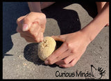 LAST CHANCE - LIMITED STOCK - Dinosaur Fossil Excavation Dig Eggs - Uncover Dino Fossil Figurine In Chalky Egg Activity