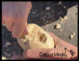 LAST CHANCE - LIMITED STOCK - Dinosaur Fossil Excavation Dig Eggs - Uncover Dino Fossil Figurine In Chalky Egg Activity