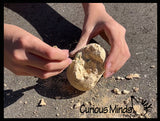 LAST CHANCE - LIMITED STOCK - Dinosaur Fossil Excavation Dig Eggs - Uncover Dino Fossil Figurine In Chalky Egg Activity