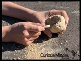 LAST CHANCE - LIMITED STOCK - Dinosaur Fossil Excavation Dig Eggs - Uncover Dino Fossil Figurine In Chalky Egg Activity
