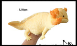 Jumbo Grow an Axolotl in Water - Add Water and it Grows - Critter Toy