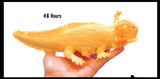 Jumbo Grow an Axolotl in Water - Add Water and it Grows - Critter Toy