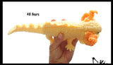 Jumbo Grow an Axolotl in Water - Add Water and it Grows - Critter Toy