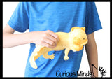 Jumbo Grow an Axolotl in Water - Add Water and it Grows - Critter Toy