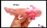 Jumbo Grow an Axolotl in Water - Add Water and it Grows - Critter Toy
