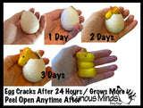 Hatch and Grow a Unicorn Egg in Water - Add Water and it Grows - Girl Critter Toy Bath - Soak in Water and It Expands