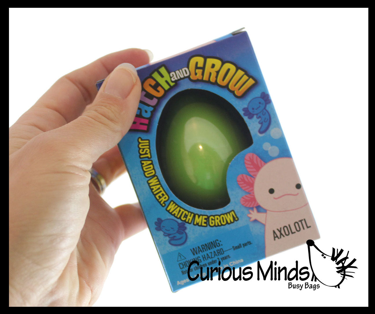 Hatch and Grow an Axolotl Egg in Water - Add Water and it Grow - Critter Toy Bath - Soak in Water and It Expands