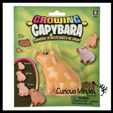 Grow a Capybara in Water - Add Water and it Grows Toy Fun Science Expanding Novelty Magic Absorbent Polymer Toy