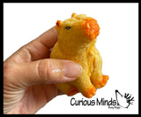 Grow a Capybara in Water - Add Water and it Grows Toy Fun Science Expanding Novelty Magic Absorbent Polymer Toy