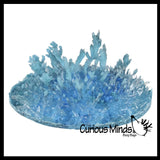 NEW - Grow a Crystal in Water - Toy Fun Science Experiment Craft Novelty Magic Absorbent Polymer Toy Gift