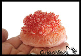 NEW - Grow a Crystal in Water - Toy Fun Science Experiment Craft Novelty Magic Absorbent Polymer Toy Gift