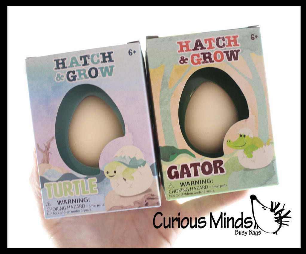 Set of 2 - Hatch and Grow a Animal Egg in Water - ALLIGATOR and TURTLE - Add Water and it Grows Gator - Critter Toy Bath - Soak in Water and It Expands