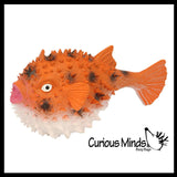 NEW - Jumbo Fish (Clownfish, Blue Tang, Pufferfish) Water Bath Squirter Toy - Huge Water Soaker Gun For Pool Outdoor Play