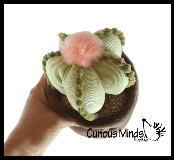 plush succulent plant Plush Plant - Potted Succulent Cactus - Cute Artificial Home Decor - C