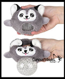 Plush Dog Animal Water Bead Filled Squeeze Stress Balls - Sensory, Stress, Fidget Toy PBJ Bubble Blow Doggy Puppy