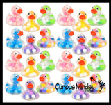 Pom Pom Filled Regular 2" Rubber Ducks - Rubber Duckies - Cute Novelty Prize Reward Giveaway