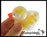 Pom Pom Filled Regular 2" Rubber Ducks - Rubber Duckies - Cute Novelty Prize Reward Giveaway