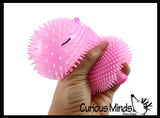 NEW - Capybara Family Set of 3 Puffer Air- Filled Squeeze Stress Balls - Large Rodent  -  Sensory, Stress, Fidget Toy