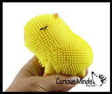 NEW - Capybara Family Set of 3 Puffer Air- Filled Squeeze Stress Balls - Large Rodent  -  Sensory, Stress, Fidget Toy