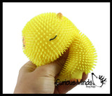NEW - Capybara Family Set of 3 Puffer Air- Filled Squeeze Stress Balls - Large Rodent  -  Sensory, Stress, Fidget Toy