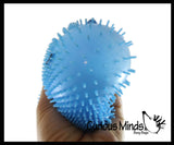 NEW - Capybara Family Set of 3 Puffer Air- Filled Squeeze Stress Balls - Large Rodent  -  Sensory, Stress, Fidget Toy