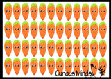 NEW - Puffer Carrot Ball - Indoor Soft Hairy Air-Filled Sensory Ball Vegi Easter Gift