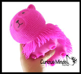 Shaggy Cat and Mop Dog - Large Puffer Balls - Sensory Therapy Fidget Stress Balls - OT Autism SPD