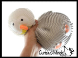 NEW - Seagull Puffer Air- Filled Squeeze Stress Balls Gull Pigeon -  Sensory, Stress, Fidget Toy