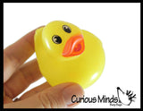 Medium 2" Glitter Rubber Ducks - Rubber Duckies - Cute Novelty Prize Reward Giveaway