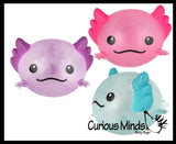 NEW - Axolotl Splat Ball -  Water Filled Splat Stress Ball - Throw to Make it Splat and Watch it Come Back