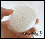 LAST CHANCE - LIMITED STOCK - Snail Water Bead Filled Squeeze Stress Ball  -  Sensory, Stress, Fidget Toy - 4 Emotions