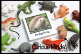 Animal Match - PETS - Miniature Animals with Matching Cards - 2 Part Cards.  Montessori learning toy, language materials - Pet Animals