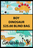 BLIND BAGS - Mystery Surprise Bags with Assorted Fidgets and Toys - Birthday Gift - Popular Kids Gift