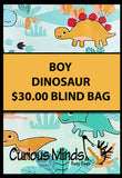 BLIND BAGS - Mystery Surprise Bags with Assorted Fidgets and Toys - Birthday Gift - Popular Kids Gift