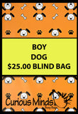 BLIND BAGS - Mystery Surprise Bags with Assorted Fidgets and Toys - Birthday Gift - Popular Kids Gift