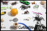 Alphabet Objects - Beginning Letter Sounds Set 1 -  Alphabet miniatures to use with movable alphabet