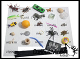 Alphabet Objects - Beginning Letter Sounds Set 1 -  Alphabet miniatures to use with movable alphabet