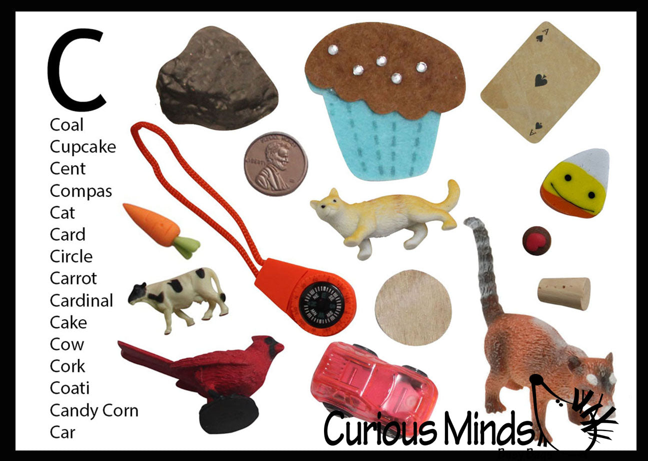 z ALPHABET OBJECTS BY LETTER C