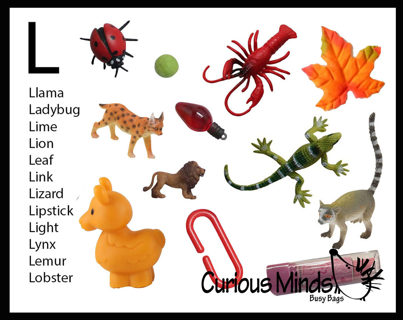 z ALPHABET OBJECTS BY LETTER L