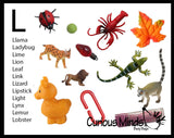 z ALPHABET OBJECTS BY LETTER L