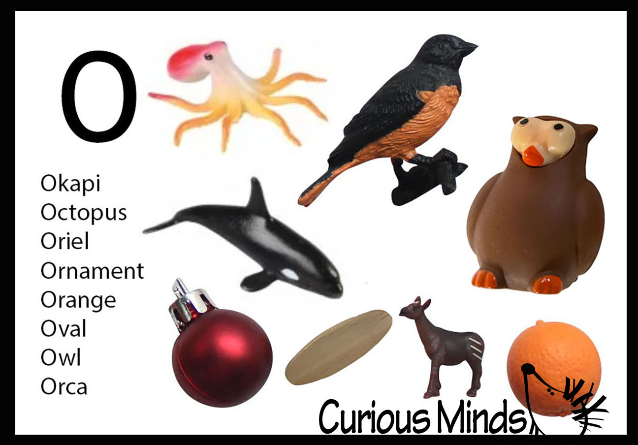 z ALPHABET OBJECTS BY LETTER O