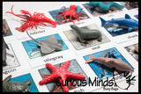 Animal Match - OCEAN - Miniature Ocean Animals with Matching Cards - 2 Part Cards.  Montessori learning toy, language materials - Ocean Animals