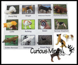 Animal Match - DOG - Miniature Animals with Matching Cards - 2 Part Cards.  Montessori learning toy, language materials - Puppy Pet Doggy