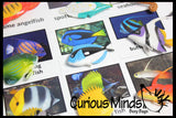 Animal Match - TROPICAL FISH - Miniature Animals with Matching Cards - 2 Part Cards.  Montessori learning toy, language materials - Tropical Fish